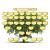 Compact Family Tree Charts Pack  - view 4