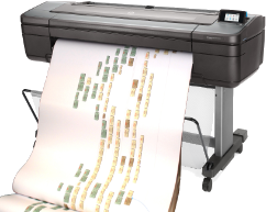 Chart Printing